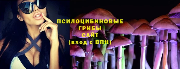 шишки Гусиноозёрск