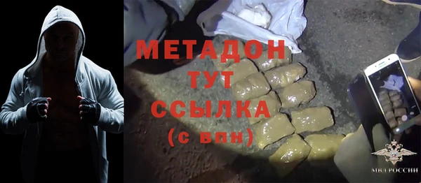 шишки Гусиноозёрск