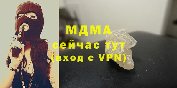 шишки Гусиноозёрск