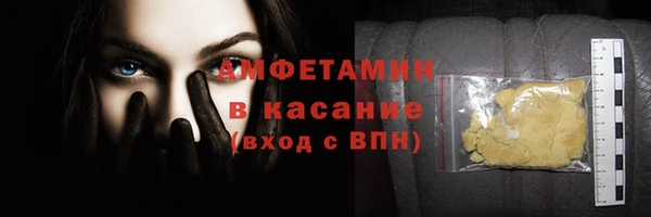 шишки Гусиноозёрск