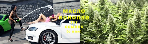 шишки Гусиноозёрск