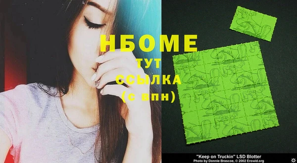 шишки Гусиноозёрск
