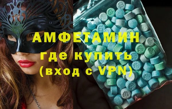 шишки Гусиноозёрск