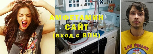 шишки Гусиноозёрск