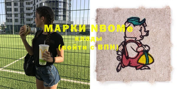 шишки Гусиноозёрск