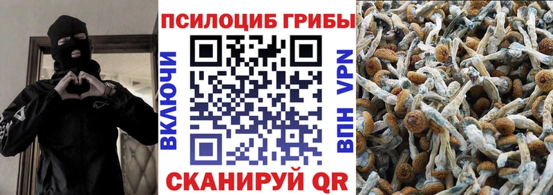 Купить где Курлово Галлюциногенные грибы мухоморы